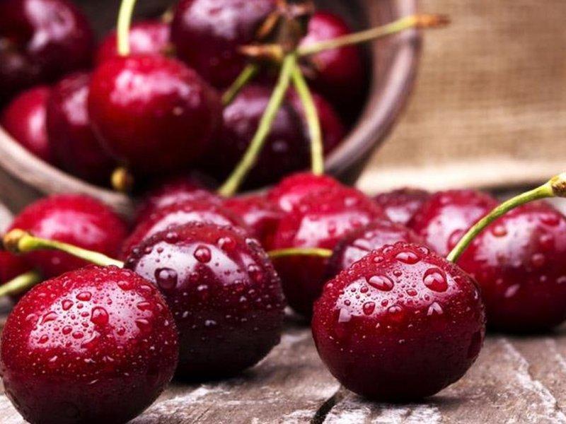 Вишня купить саженцы из питомника в Сыктывкаре